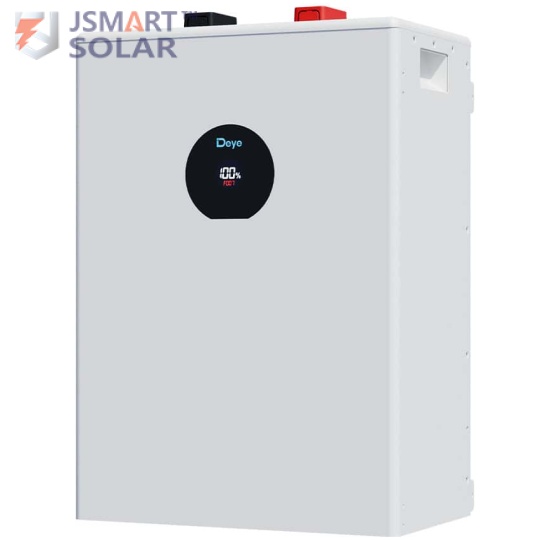 12kwh Deye 51.2v LifePo4 lithium Battery-SE-F12-C